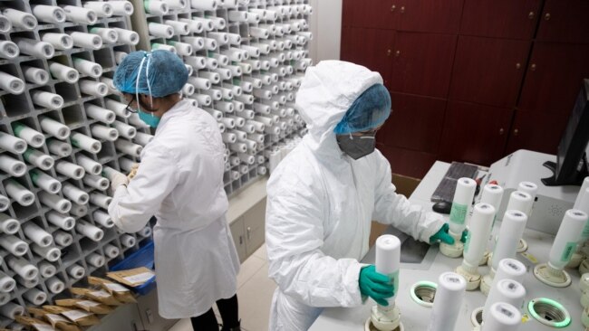 武汉医务人员在治疗新冠病毒感染者 （2020年3月2日 资料照）