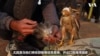 以猎鹰谋利，并保护古老的文化传统 