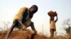  Gumba Mohammed carries yams on a basket as his elder brother, Limam Mohammed, digs up yams on a farmland given to evicted Zimbabwean farmers in Shonga, Nigeria, Jan. 19, 2005. West African governments like Nigeria are eager to welcome white Zimbabwean fa