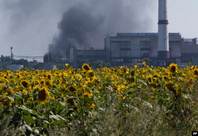 Smoke from an oil refinery rises over a field of sunflowers near the city of Lisichansk, Luhansk region, eastern Ukraine, July 26, 2014. Global cooking oil prices have been rising since the COVID-19 pandemic began and Russia's war in Ukraine has sent costs spiralling.