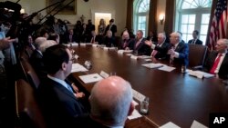 President Donald Trump, flanked by Secretary of State Rex Tillerson, left, and Defense Secretary Jim Mattis, speaks during a Cabinet meeting, June 12, 2017, in the Cabinet Room of the White House in Washington. 