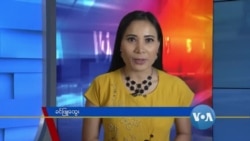 နေ့စဉ် တီဗွီသတင်းလွှာ (၀၈-၁၉ -၂၀၂၀)