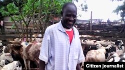 CAMEROON: Kasuwar raguna