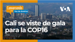 COP16, un encuentro para proteger la biodiversidad y el medio ambiente
