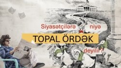 Siyasətçilərə niyə "topal ördək" deyilir?