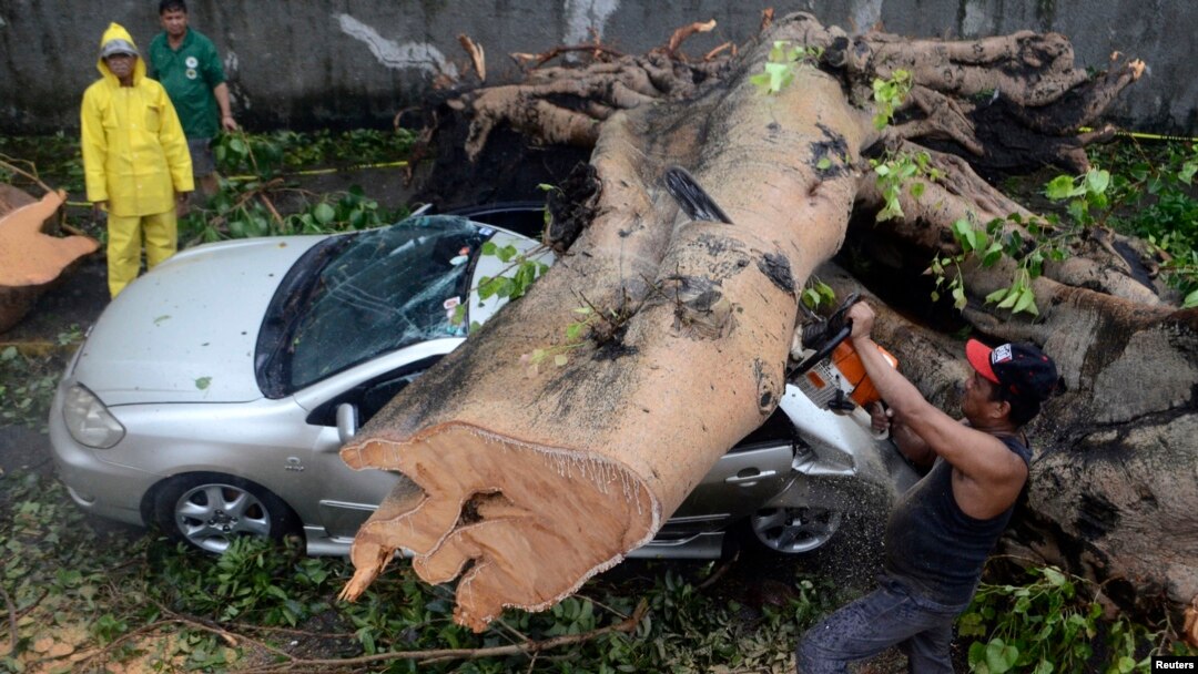 Seorang pekerja menggunakan gergaji listrik untuk memindahkan batang pohon besar yang jatuh di atas mobil akibat topan Rammasun (secara lokal disebut Glenda) yang menimpa Makati city di Manila (16/7).