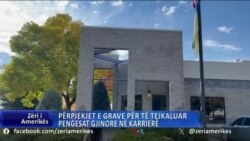 Përpjekjet e grave për të tejkaluar pengesat gjinore në karrierë 