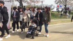 Սեուլի բնակչությունը խուճապի չի մատնվում հնարավոր նոր կորեական պատերազմի նախաշեմին