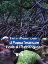 Hutan Perempuan di Papua Terancam Polusi & Pembangunan
