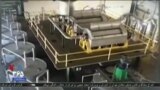 اخبار شبانگاهی