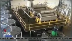اخبار شبانگاهی