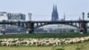 A flock of sheep graze at the river Rhine near the Cathedral in Cologne, Germany.