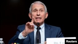 El doctor Anthony Fauci, director del Instituto Nacional de Alergias y Enfermedades Infecciosas, responde a las preguntas de los senadores en una audiencia del Senado para examinar la respuesta a la pandemia, el 11 de enero de 2022.