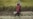 16x9 Image