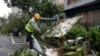 A sanitation worker of Kaohsiung city government clears debris in the aftermath of Typhoon Krathon in Kaohsiung, southern Taiwan, Oct. 4, 2024.