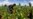 Report: Drought Insurance 'An Experiment That Failed' in Malawi