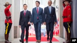 29일 캐나다 오타와에서 만난 바락 오바마 미국 대통령, 쥐스탱 트뤼도 캐나다 총리, 엔리케 페냐 니에토 멕시코 대통령(오른쪽부터)이 캐다다 국립미술관을 함께 둘러보고 있다.