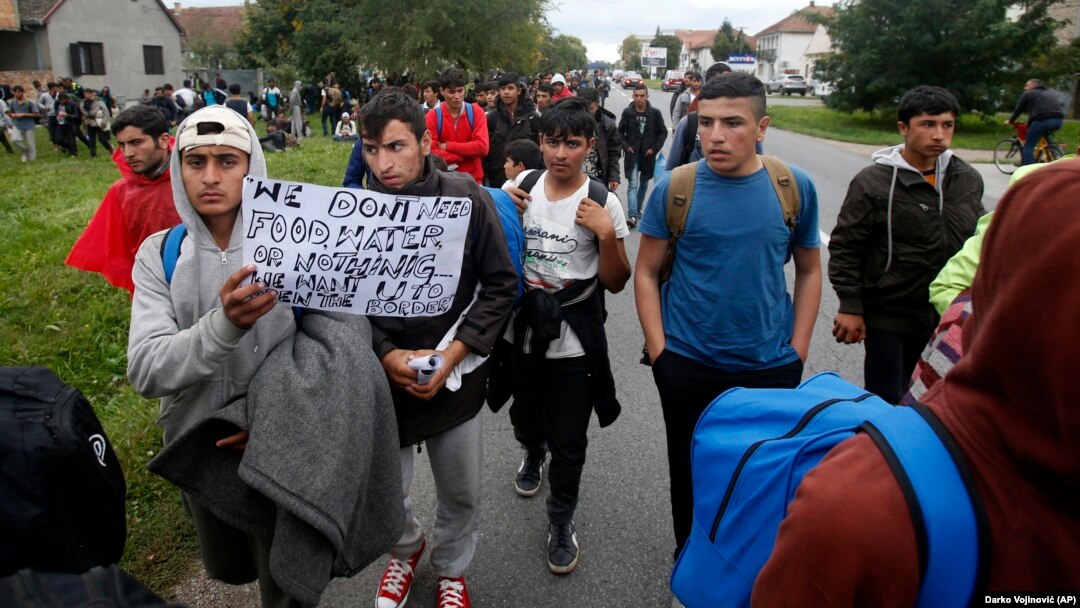 Migranti i izbeglice u Srbiji na putu prema granici sa Mađarskom (Foto: AP/Darko Vojinović) 