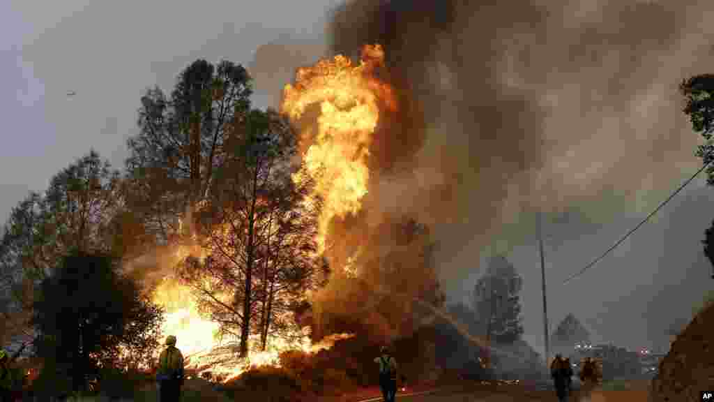 Bombeiros usam uma mangueira para combater o incêndio ao longe da Valley Road Morgan, California, 31 de Julho 2015.