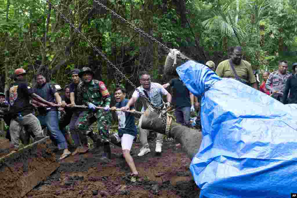 Workers prepare for removal of the carcass of Molly, a 45-year-old female Sumatran elephant that was found dead after being swept away by a flood from Bali Zoo on Dec. 16, 2024, in Gianyar, Bali, Indonesia.