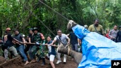 Workers prepare for removal of the carcass of Molly, a 45-year-old female Sumatran elephant that was found dead after being swept away by a flood from Bali Zoo on Dec. 16, 2024, in Gianyar, Bali, Indonesia.