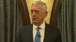 Mattis: USS Carl Vinson is 'Part of Our Ensuring We Stand By Our Allies'