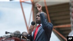 Dare repamusorosoro, reSupreme Court, rinoti VaNelson Chamisa havasi mutungamiri ari pamutemo webato re MDC-T