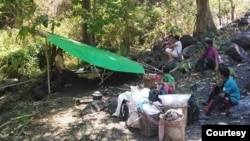 Chin ethnics group IDPs hiding in the forest