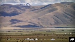 FILE - Yaks graze around tents set up for herders to live in the during the summer grazing season on grasslands near Lhasa in western China's Tibet Autonomous Region, Wednesday, June 2, 2021. (AP Photo/Mark Schiefelbein, File)