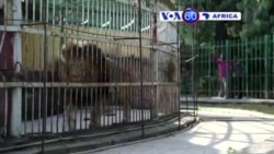 Manchetes Africanas, 11 de Março de 2015