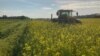 More US Farmers Plant Cover Crops 