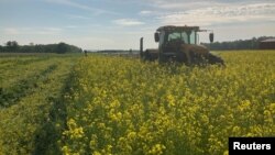 Farmer Dave Gruenbaum plants corn as he terminates off-season cover crops with a roller near Plain City, Ohio, U.S., May 2021. (Dave Gruenbaum/Handout via REUTERS)