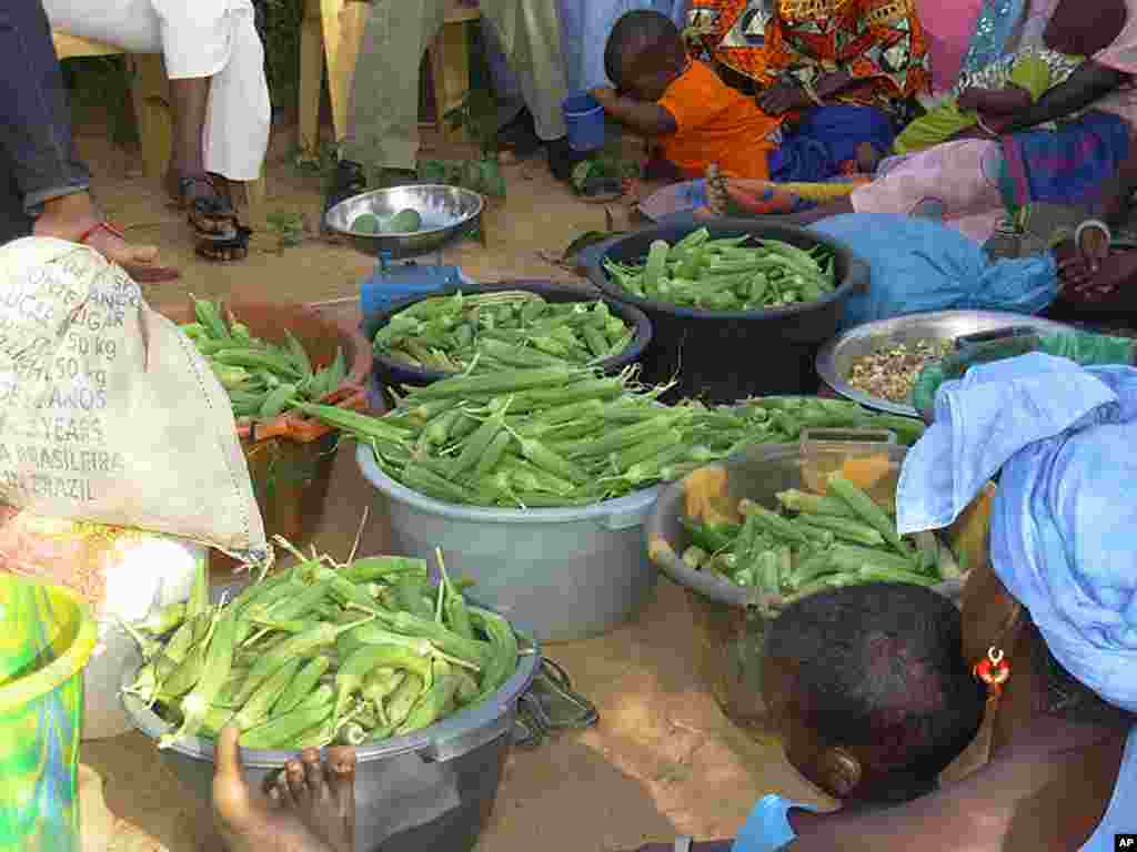 Vegetables harvested at the Wendou Bosseabe refugee camp, Senegal, October 26, 2011. (VOA - A. Fortier)