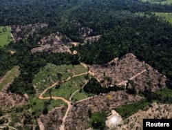 Pemandangan yang memperlihatkan kawasan gundul di tengah Hutan Amazon dekat jalan raya BR-230, yang dikenal sebagai Transamazonica, di wilayah Uruara, Para, Brazil, 14 Juli 2021. (Foto: Reuters)