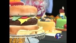 VOA卫视(2013年4月13日 第一小时节目)