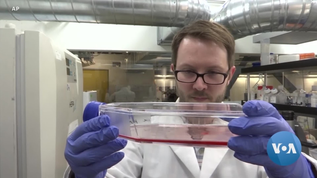 Scientists Are Literally Spinning Up Lab-Grown Meat