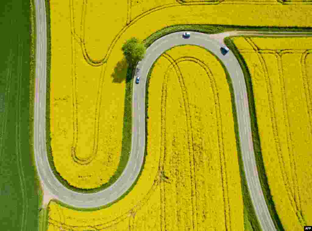 An Aerial view of the winding L401 country road past rapeseed fields near Nienstedt close to Bad Muender am Deister, central Germany.