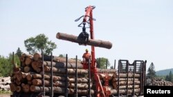 Un trabajador descarga troncos de madera en Murray Lumber Co. en Madawaska, Canadá en julio de 2018. 