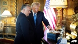 Оваа фотографија направена и објавена на 8 март 2024 година, од Канцеларијата за печат на унгарскиот премиер Виктор Орбан и ги покажува него и поранешниот американски претседател и републикански претседателски кандидат Доналд Трамп за време на нивната средба