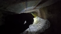  ویدیوی ارتش اسرائیل از شناسایی و کشف مهمات در مخفیگاه گروه تروریستی «جماعت اسلامی»