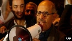 埃及著名的民主斗士巴拉迪在开罗的解放广场向群众发表讲话（资料照片）