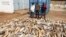 A Vietnamese man identified as Huu Dinh Khao (L) and two Togolese men stand next to a haul of ivory tusks after being seized by security forces at the port of Lome, Jan. 28, 2014. 