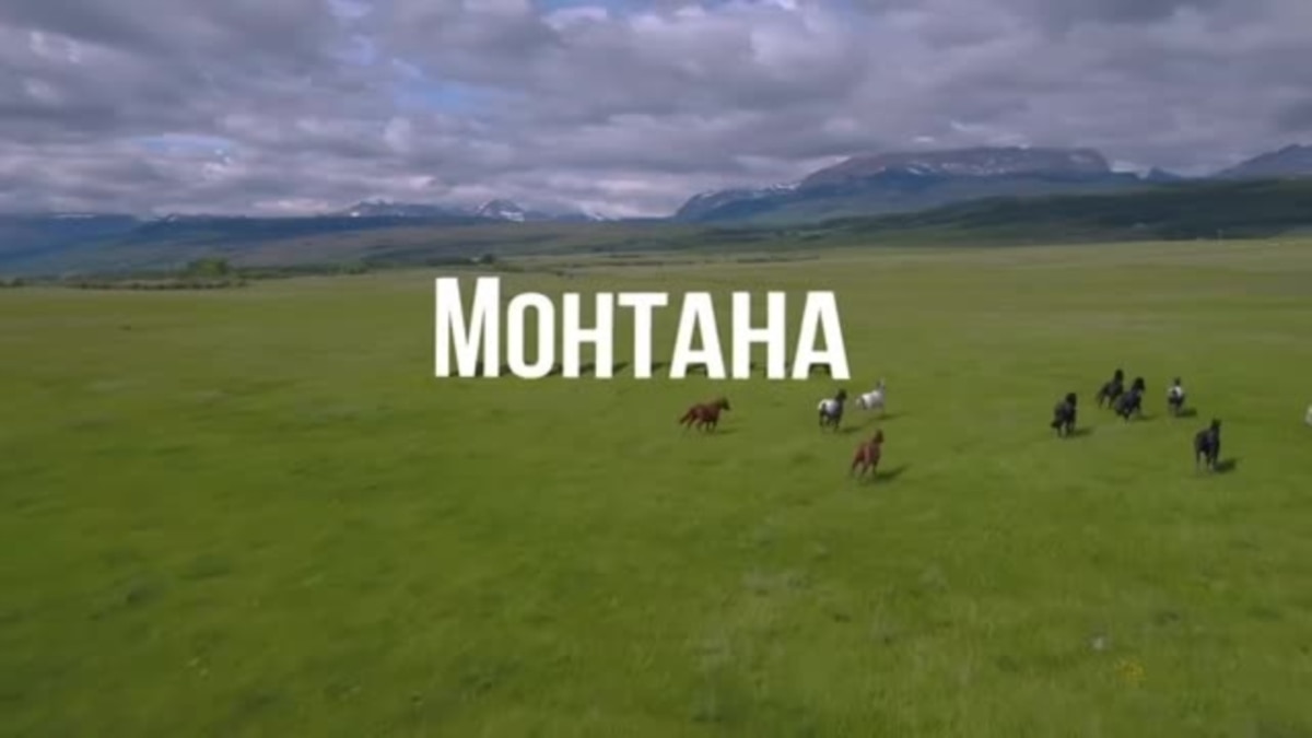 монтана