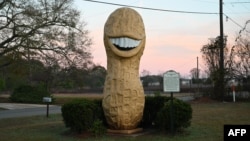 A statue of a peanut in honor of former U.S. President Jimmy Carter, who was a peanut farmer, stands in Plains, Georgia, on Dec. 30, 2024.