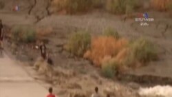 Ամենօրյա հաղորդումներ