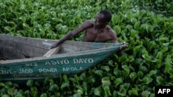 Seorang pria menarik perahu melewati eceng gondok yang menghalangi nelayan bekerja di Danau Victoria di Pantai Kichinjio di Kisumu, Kenya barat. (Foto: Yasuyoshi CHIBA/AFP)