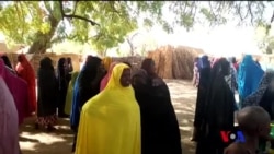 Les étudiantes de Dapchi libérées par Boko Haram (vidéo)