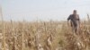 S. Africa’s Controversial Land Expropriation Stirs Emotions, Uncertainty