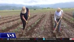 Pandemia dhe pasojat e saj në bujqësi