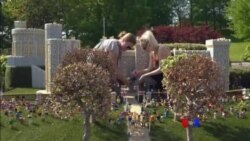 ဆွစ်ဇာလန် နွားဝှေ့ပွဲ၊ Lego ကမ္ဘာထဲက တော်ဝင်မင်္ဂလာဆောင်